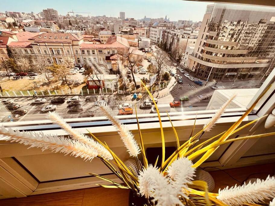 City View Studio In The Heart Of Bucharest Apartment Bagian luar foto